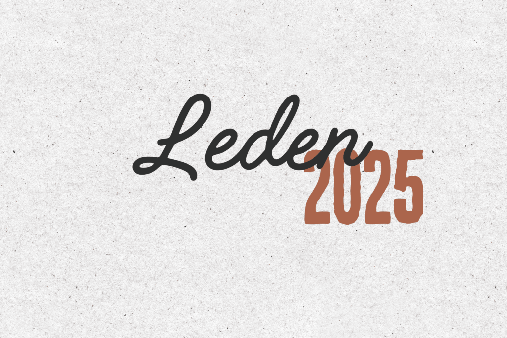LEDEN Co měsíc dal (32): leden 2025