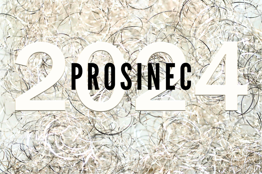 PROSINEC (10) Co měsíc dal (31): prosinec 2024